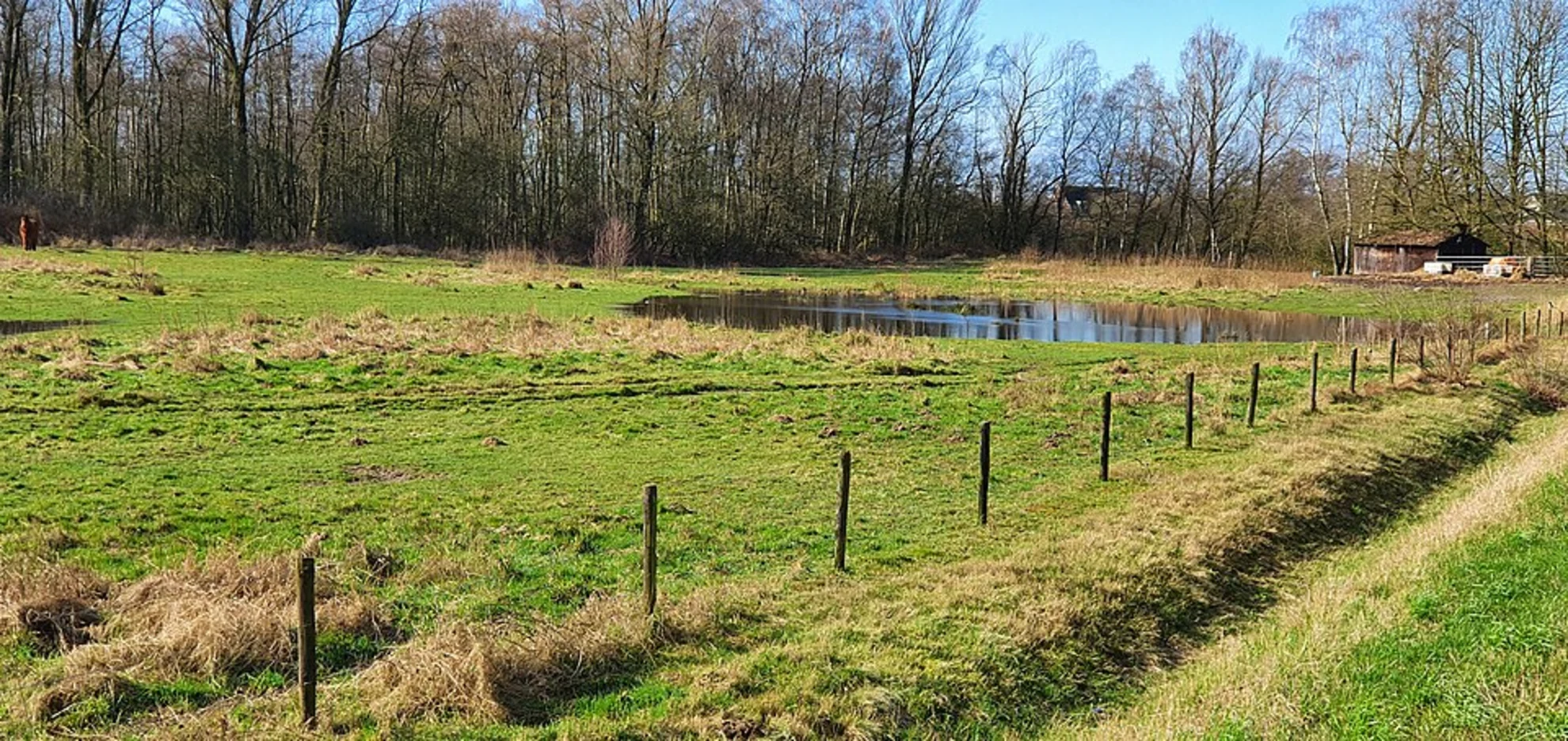 An image depicting the trail Paardenweide and Uilenduin via Hoek Weg and Lange Weg and its surrounding area.
