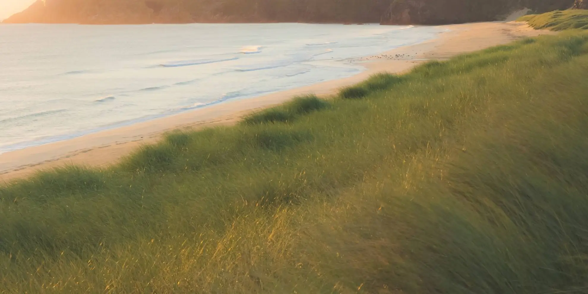 An image depicting the trail Tràigh Mhòr and Tolsta Head Loop and its surrounding area.