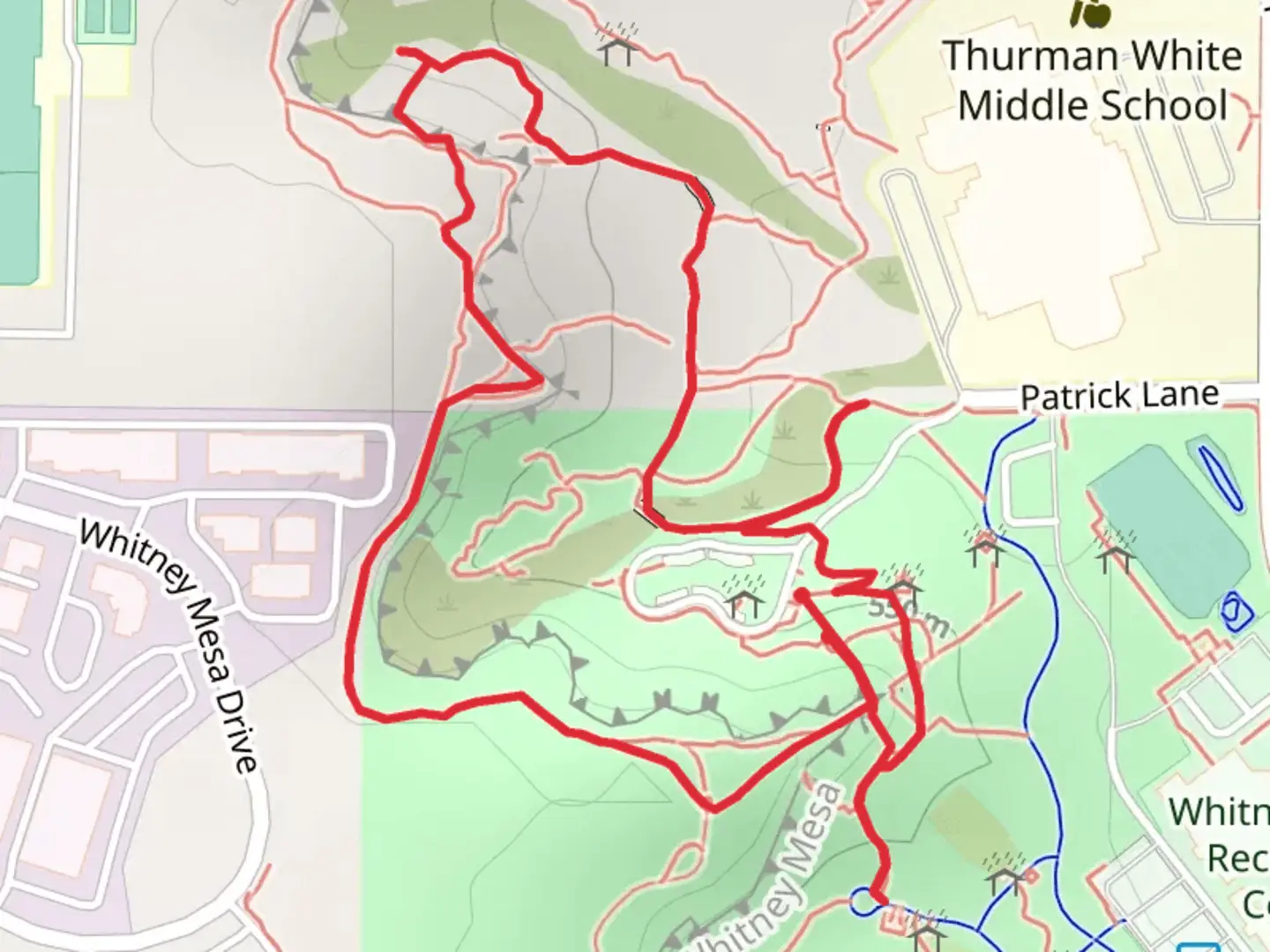 An image depicting the trail Near Whitney Mesa Loop and its surrounding area.