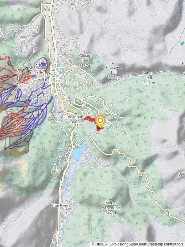 Aspen Alley Trail from Boreas Pass Road