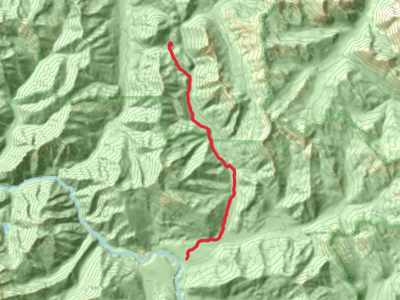 Morrison Creek Trail