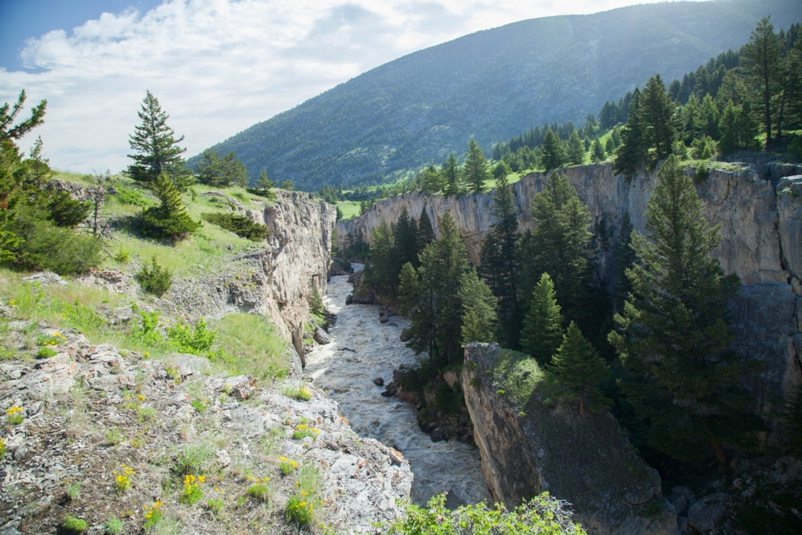 An image depicting the trail East Rim of Natural Bridge Trail and its surrounding area.