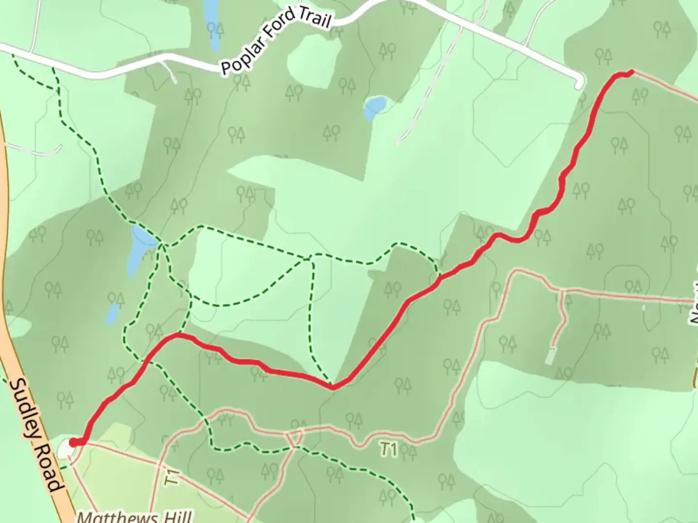 An image depicting the trail Matthews Hill Out and Back and its surrounding area.