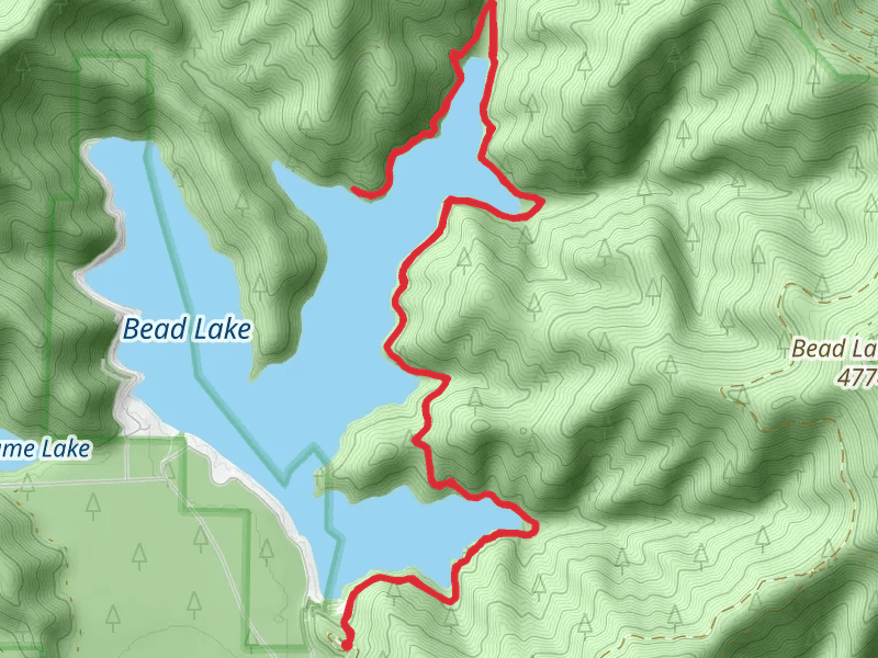 Bead Lake Trail - East