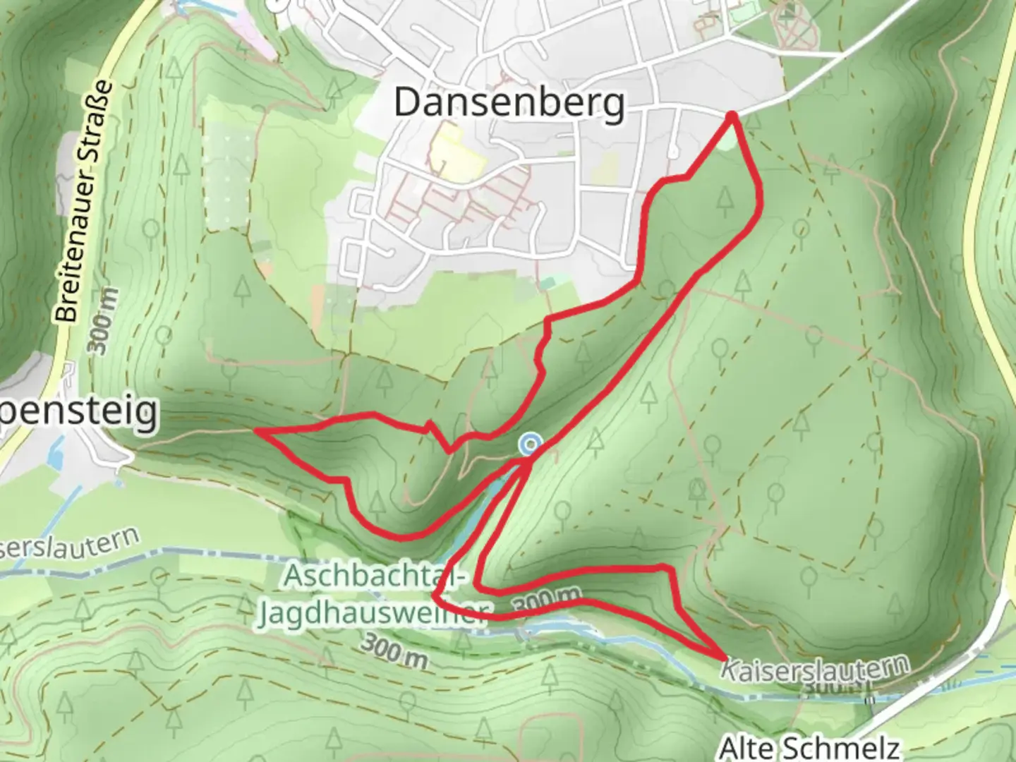 An image depicting the trail Rambachbrunnen and Jagdhausweiher Loop and its surrounding area.