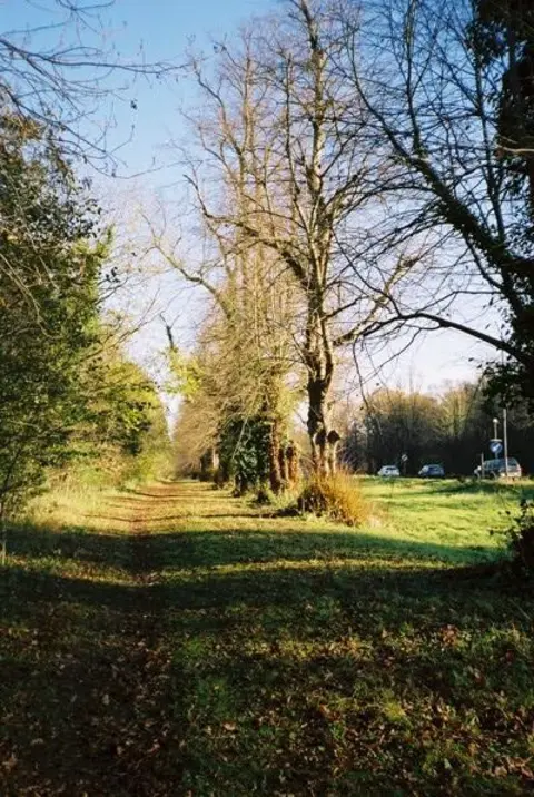 An image depicting the trail Maidenhead Thicket Loop and its surrounding area.