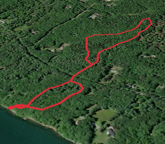 Flying Point Road Loop