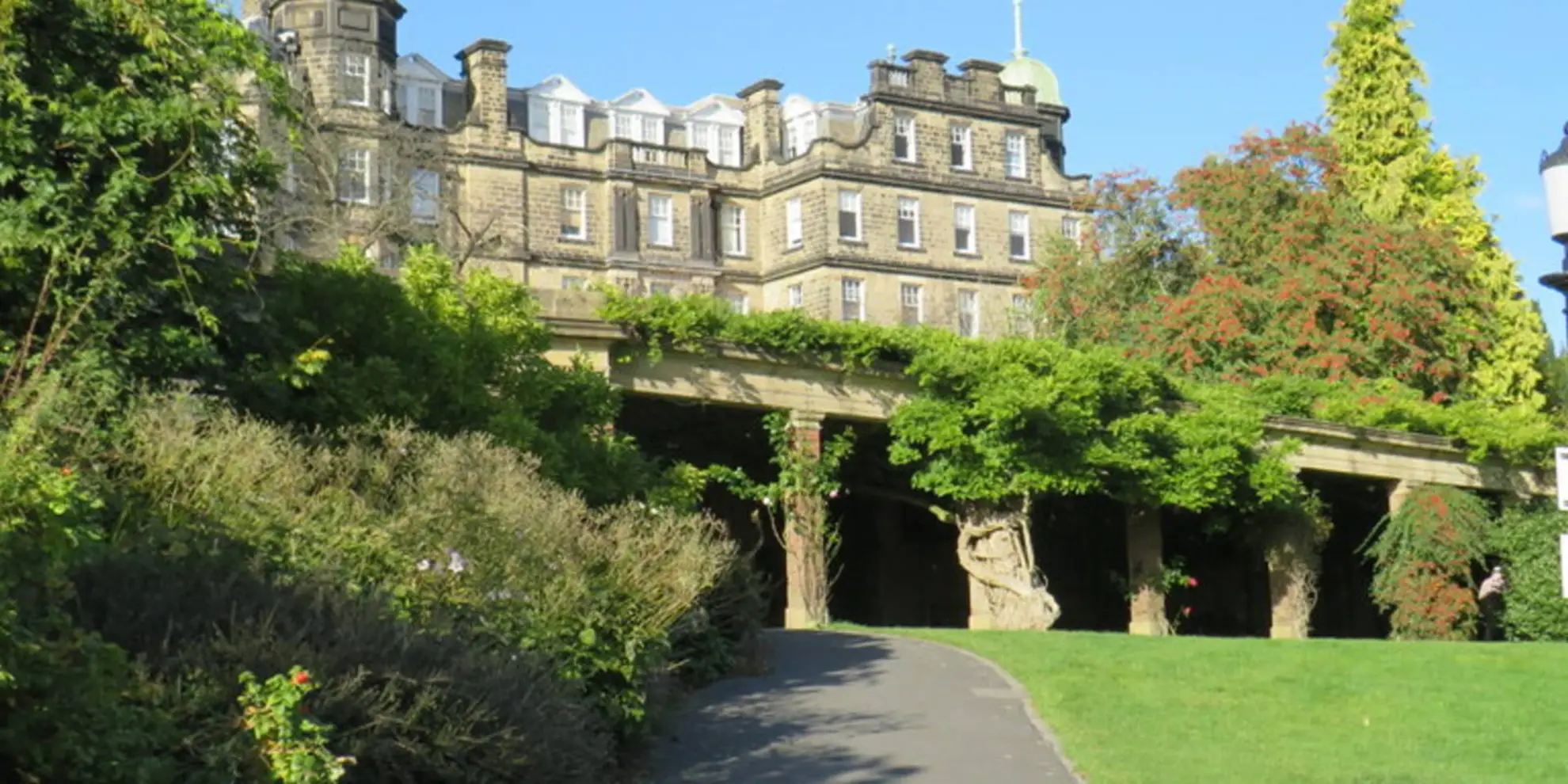 An image depicting the trail Harrogate Pinewoods and its surrounding area.