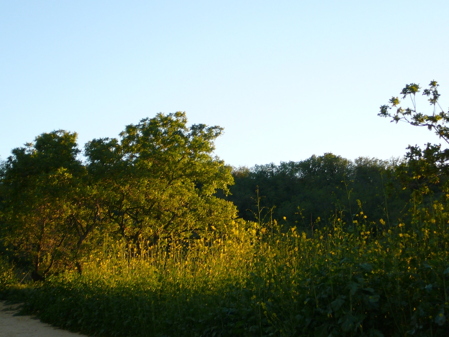 An image depicting the trail Fryman Canyon and its surrounding area.