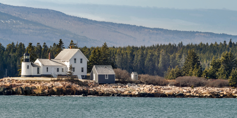 An image depicting the trail Alder Trail and its surrounding area.