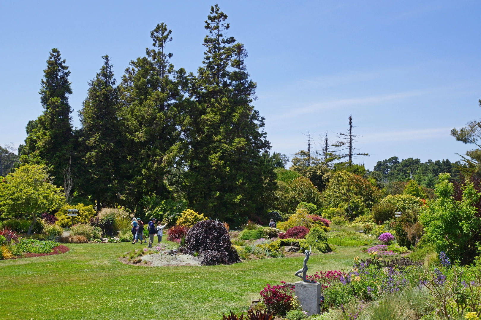 An image depicting the trail Dahlia Garden - Shore Trail and its surrounding area.