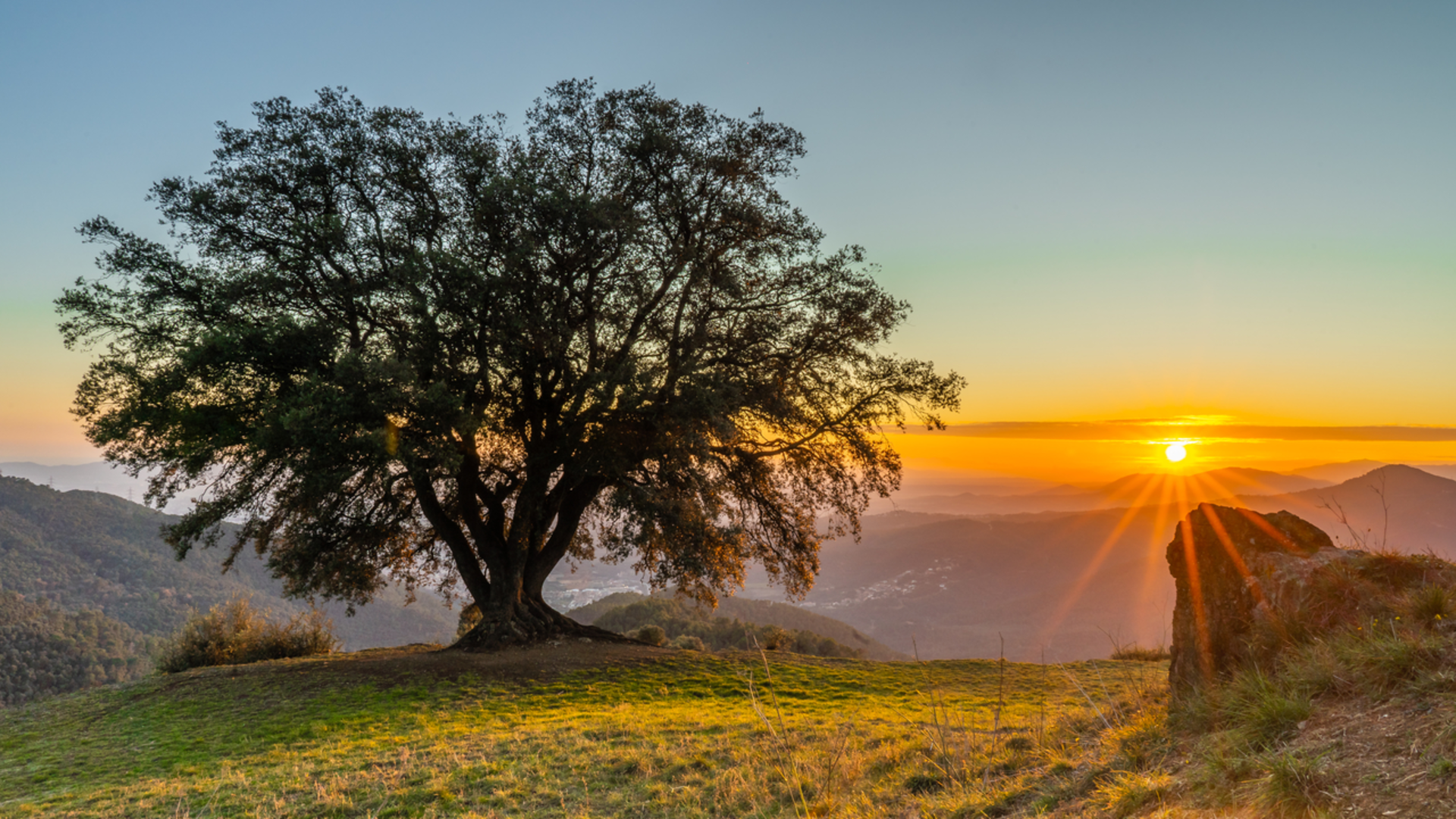 An image depicting the trail Garrigue path PR C 33 and its surrounding area.