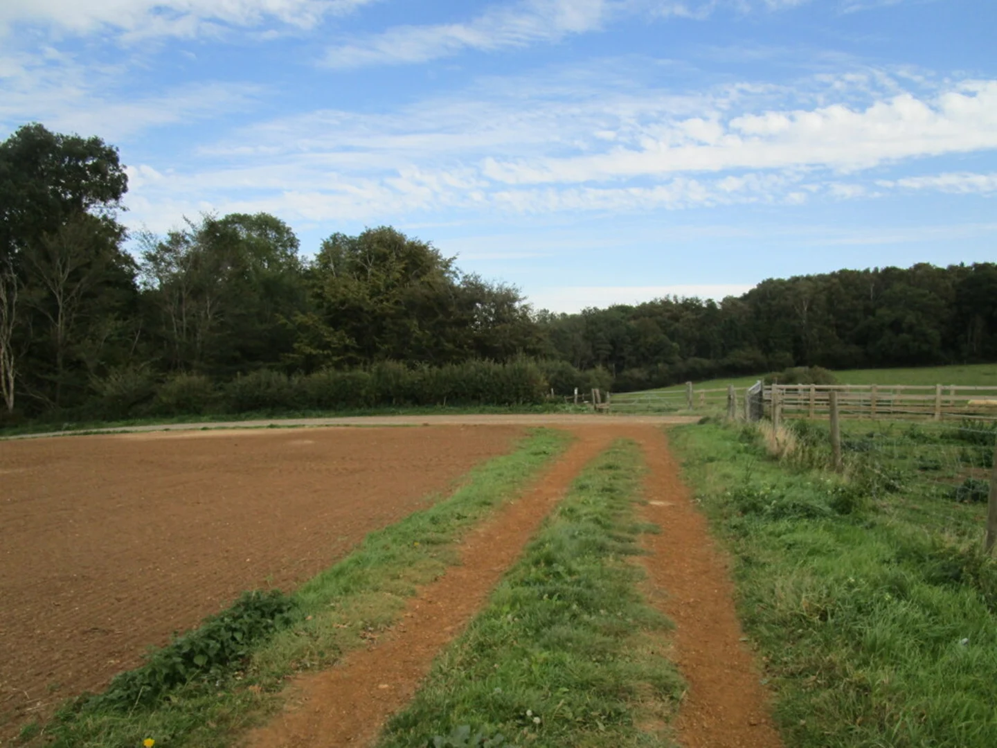 An image depicting the trail Cransley Wood Loop and its surrounding area.