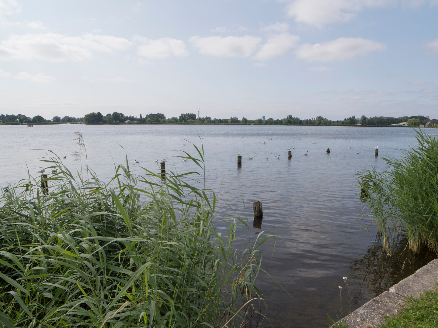 An image depicting the trail Vinkenkade, Provinciateweg and Gooilandsweg Loop and its surrounding area.