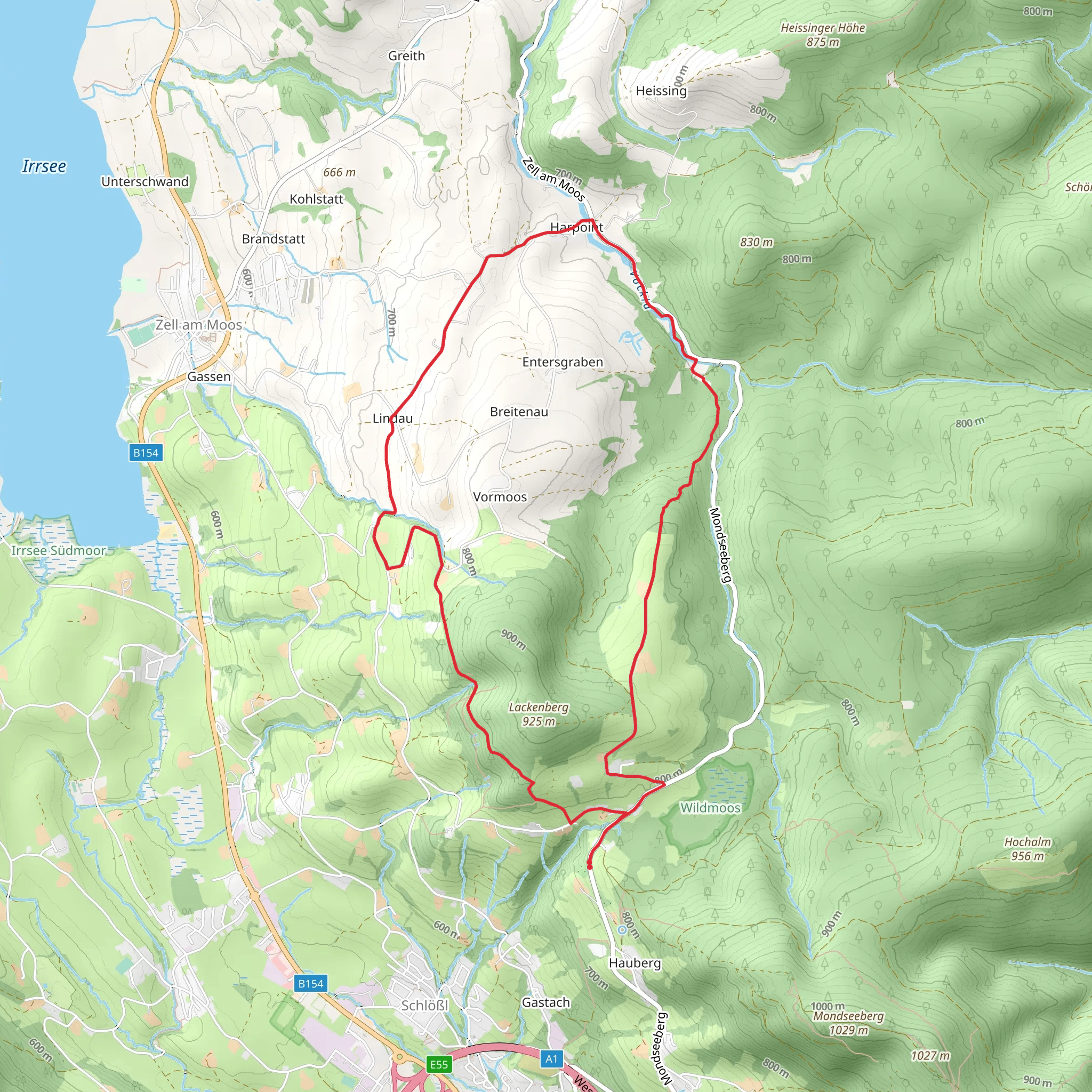 Mondsee - Fir Tree Loop mobile static map