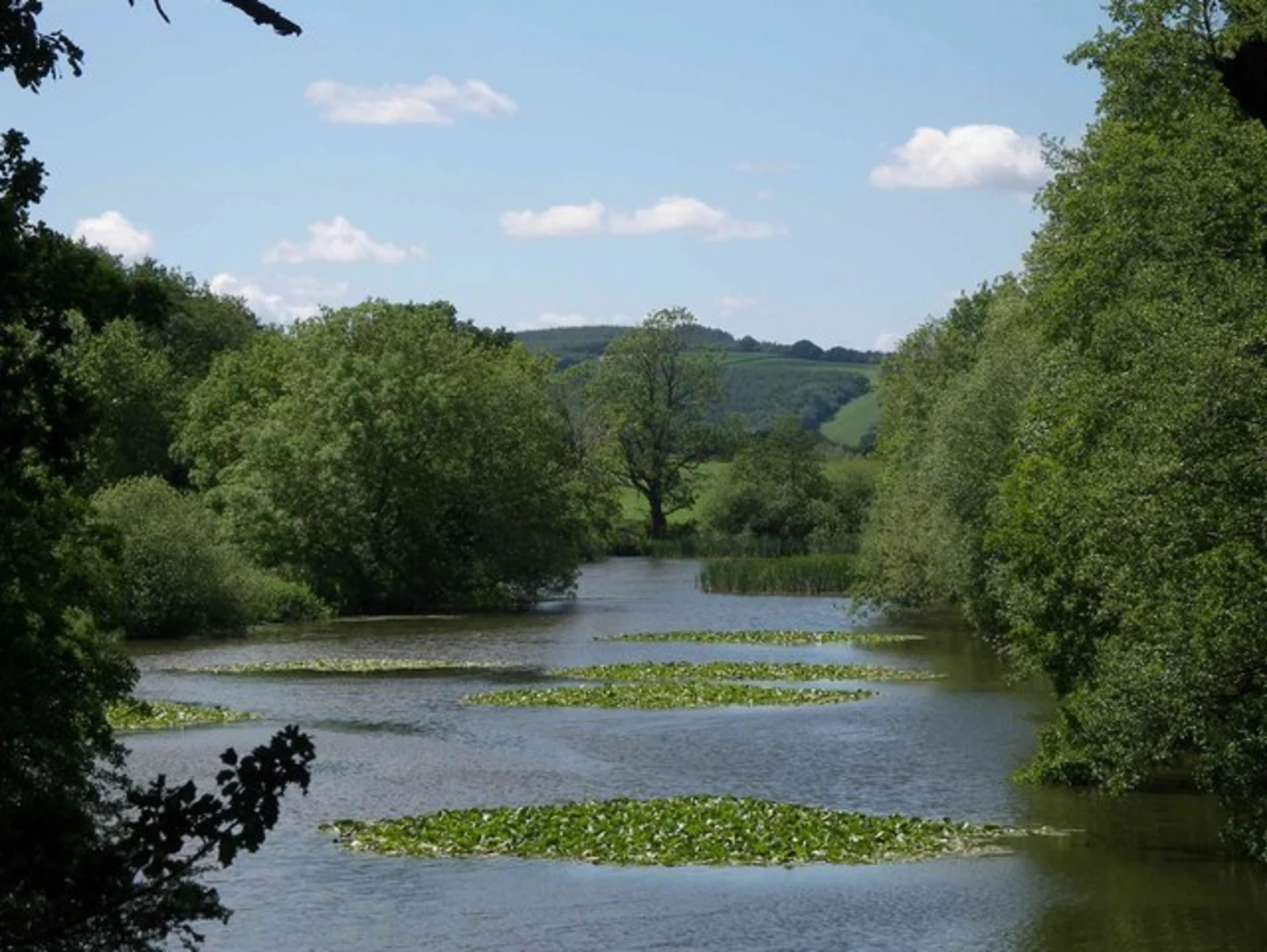 An image depicting the trail Shobdon Loop and its surrounding area.