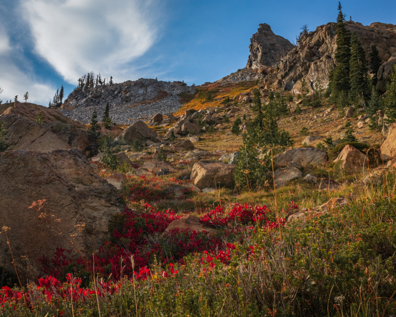 An image depicting the trail Van Epps Trail and its surrounding area.