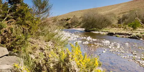 An image depicting the trail Reaveley Farm Family Stroll and its surrounding area.