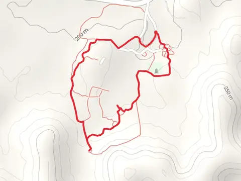 McElwee Cemetery Loop