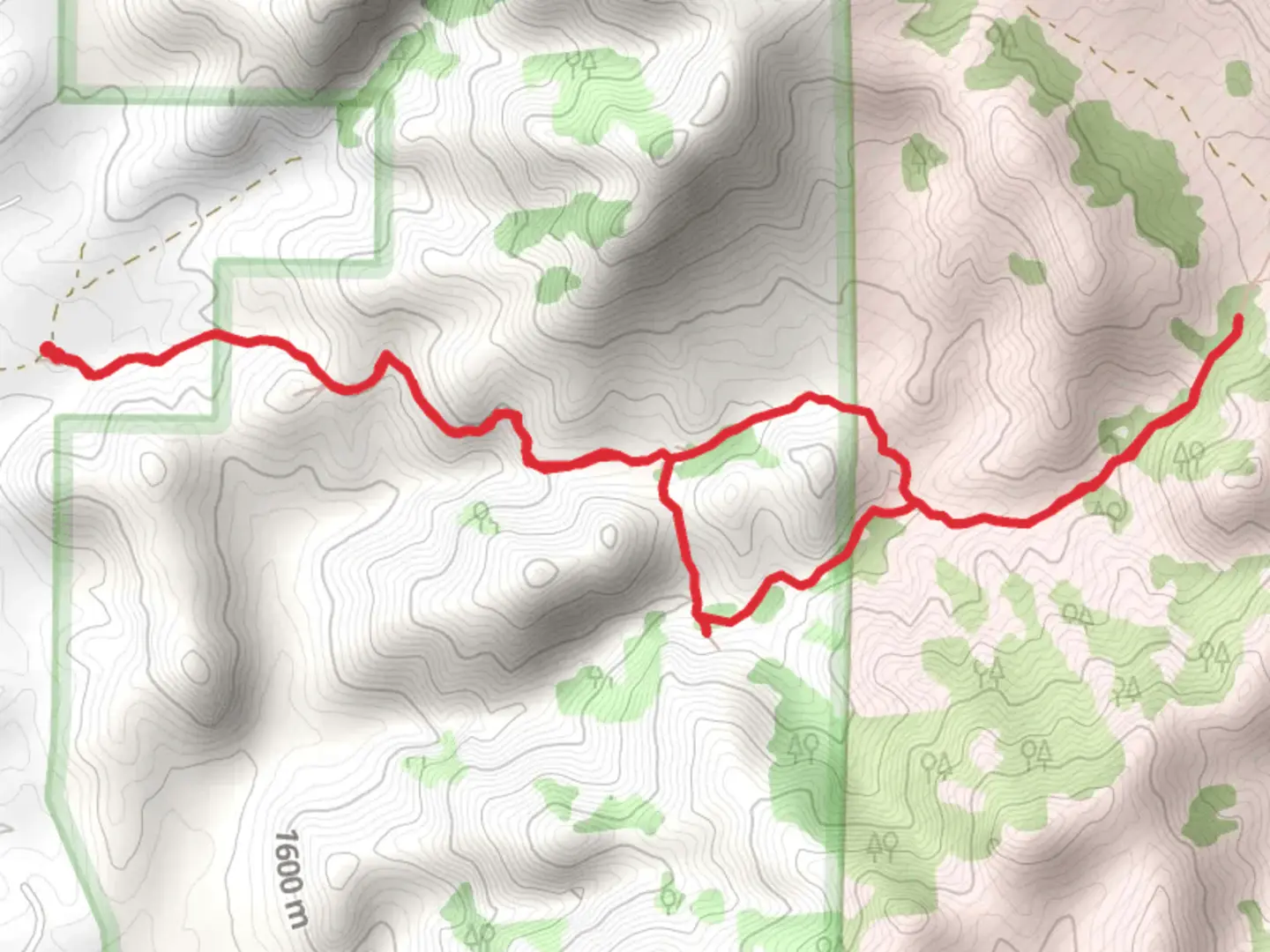 An image depicting the trail Achenback Tank Loop and its surrounding area.