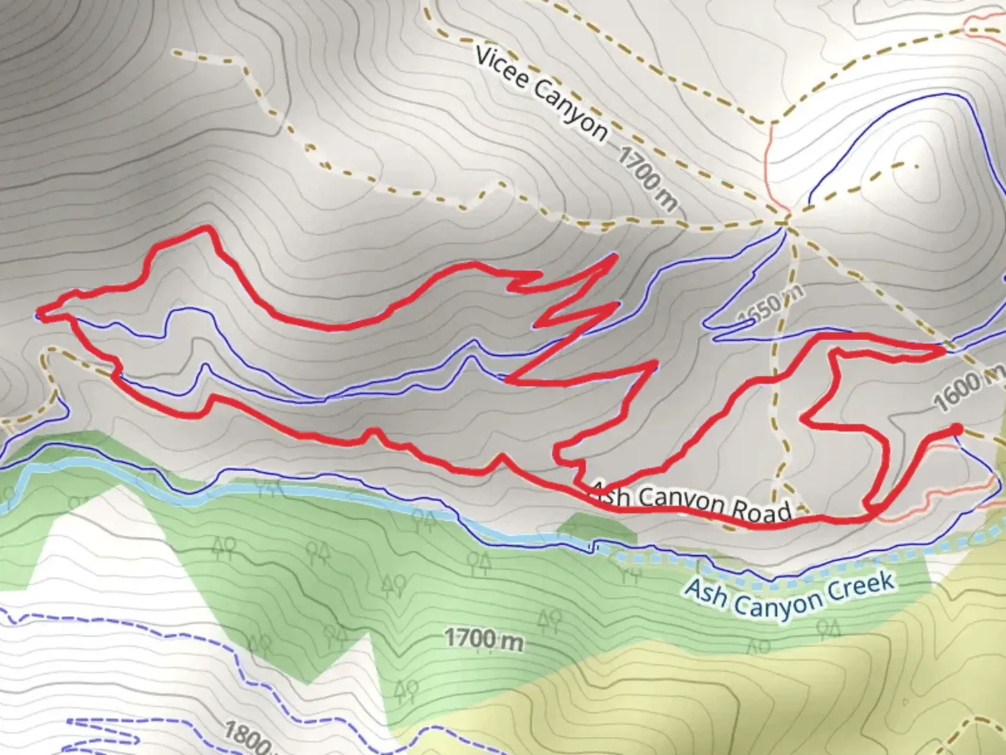 An image depicting the trail Deer Run, Evidence and Ash Canyon Road Loop and its surrounding area.