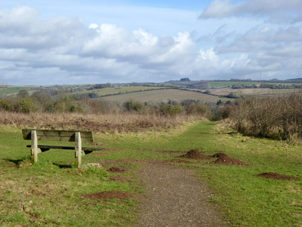 Shawford Down Loop