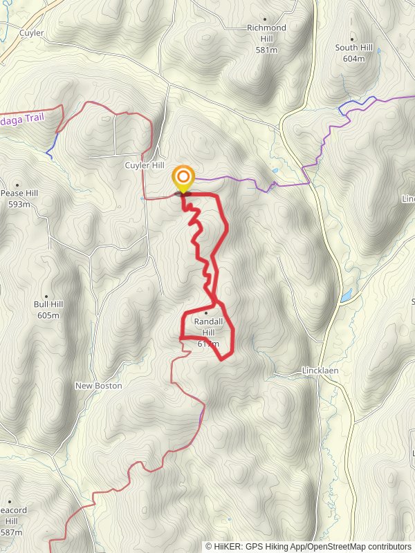 Randall Hill Loop Trail