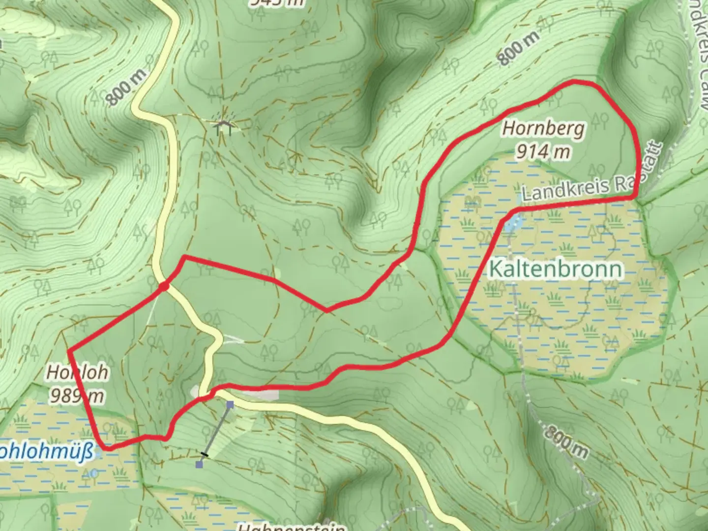 An image depicting the trail Wildsee via Oberer Hornweg and Mannslohweg and its surrounding area.