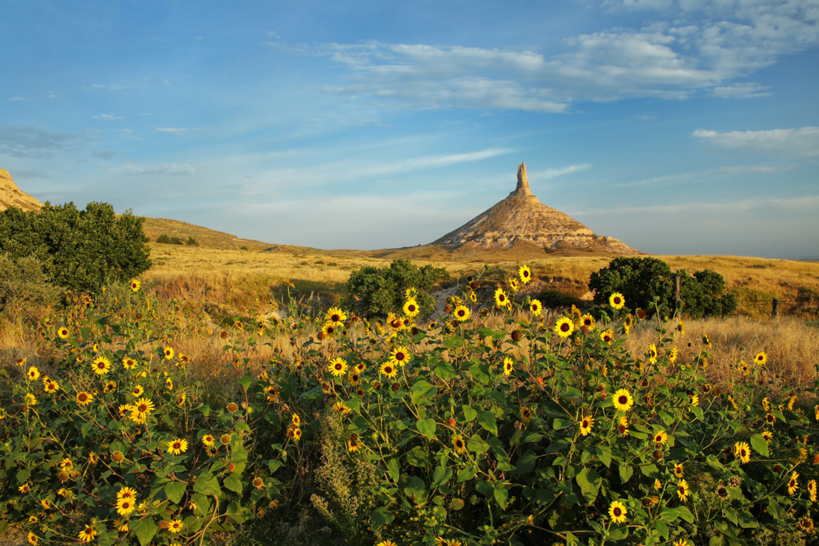 An image depicting the trail Chimney Rock Trail and its surrounding area.