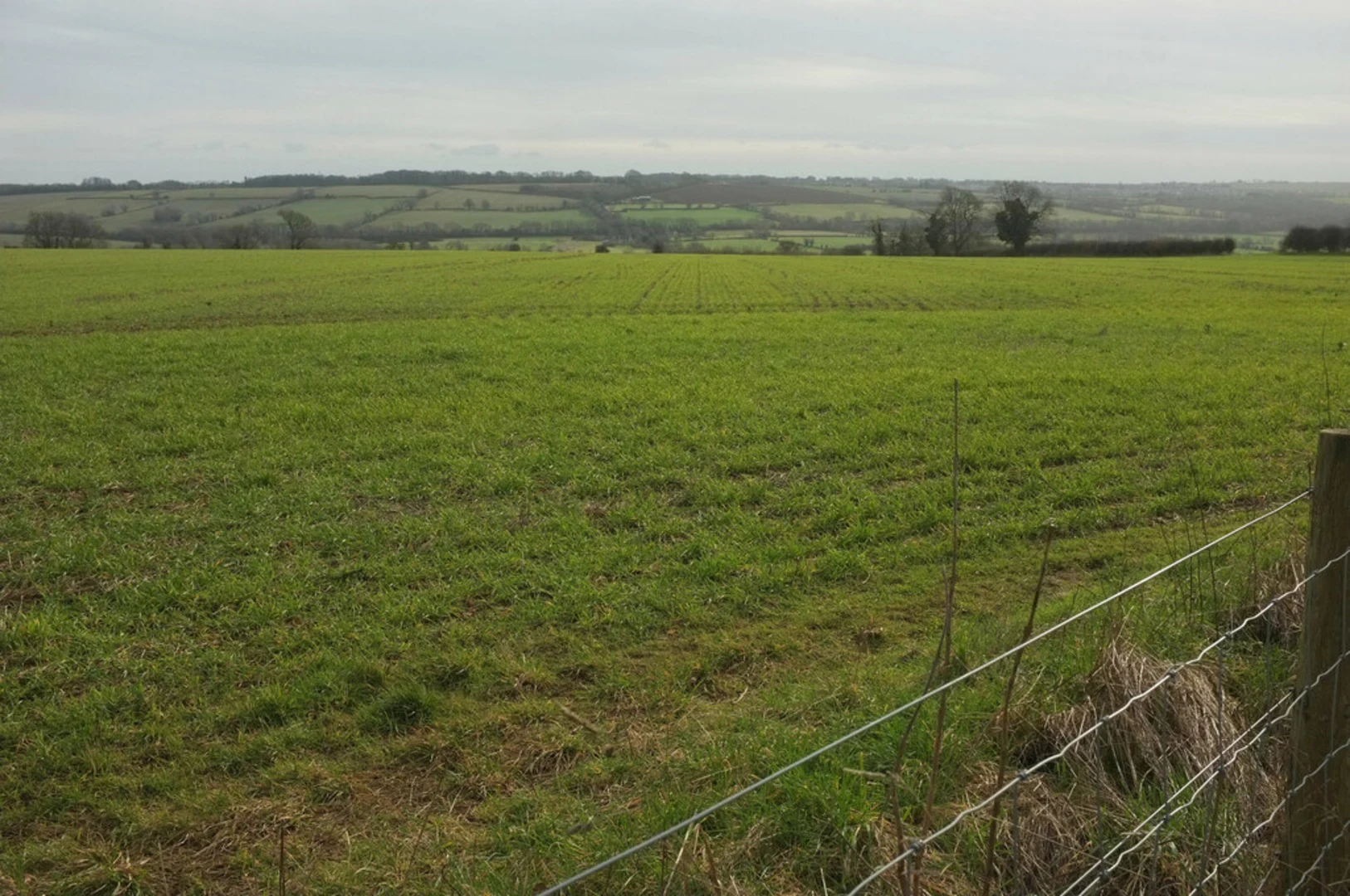 An image depicting the trail The Magic of the Rollright Stones and its surrounding area.