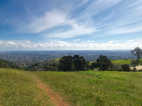 Themeda and Beaumont Circuit Walk