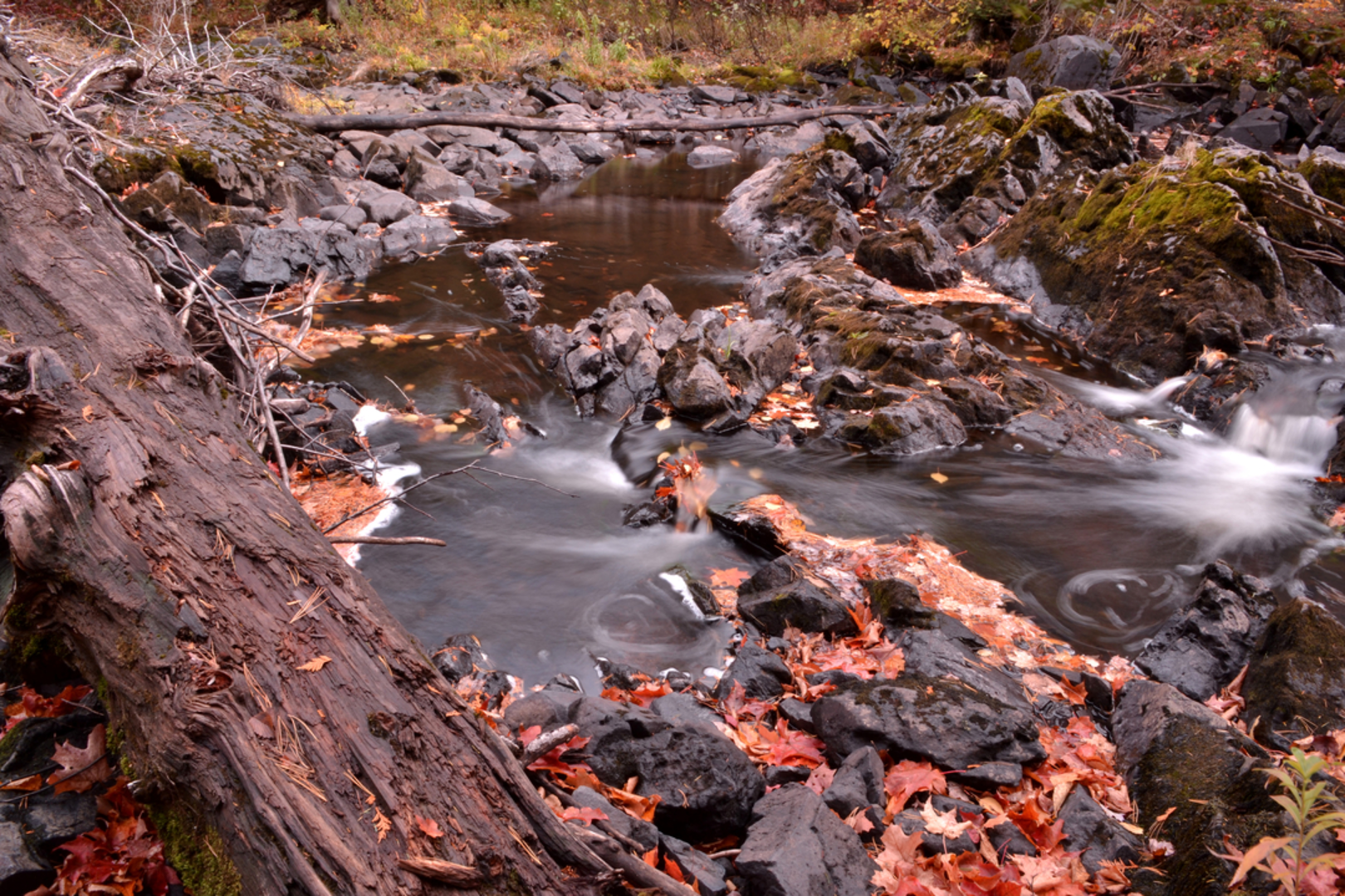 An image depicting the trail Kakabika Falls Trail and its surrounding area.