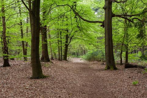 De Kozakkenput, Bezoekerscentrum and Zeisterbos Loop
