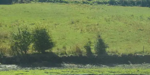 An image depicting the trail Mullaghmesha Loop and its surrounding area.