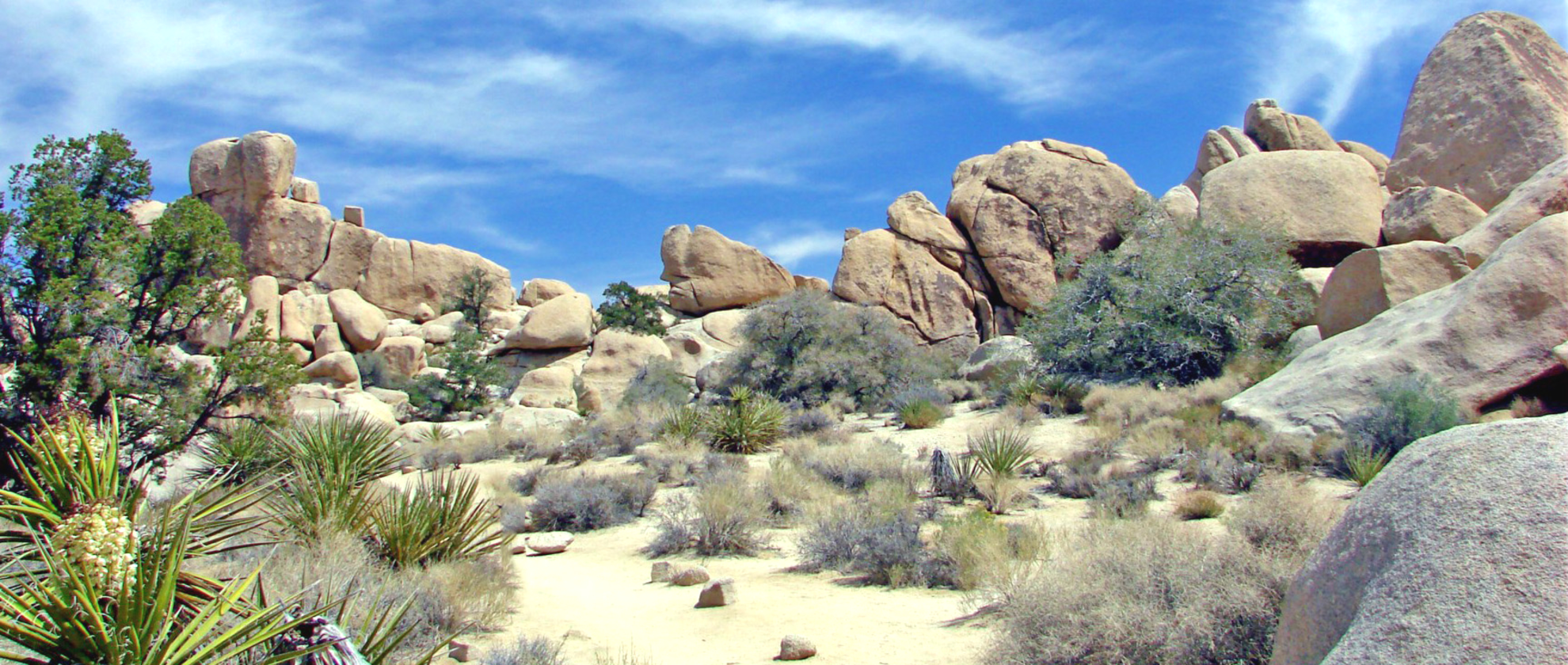 An image depicting the trail Sports Challenge Rock and Hidden Valley Trail Loop and its surrounding area.