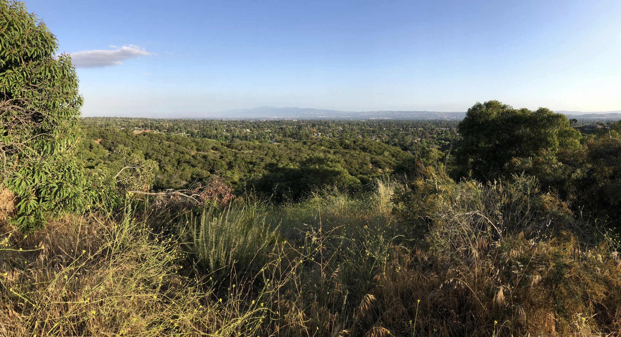An image depicting the trail Pepper Tree and Rattlesnake Peak Loop and its surrounding area.