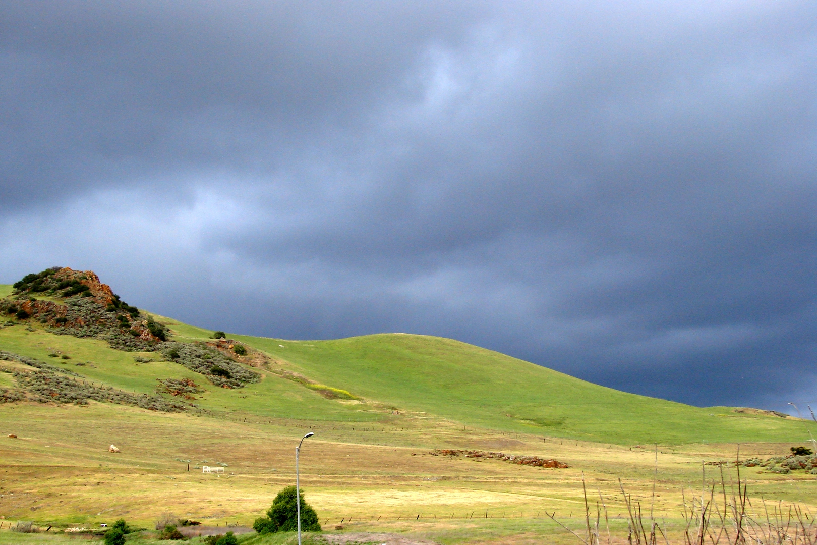 An image depicting the trail Coyote Creek Loop Trail and its surrounding area.