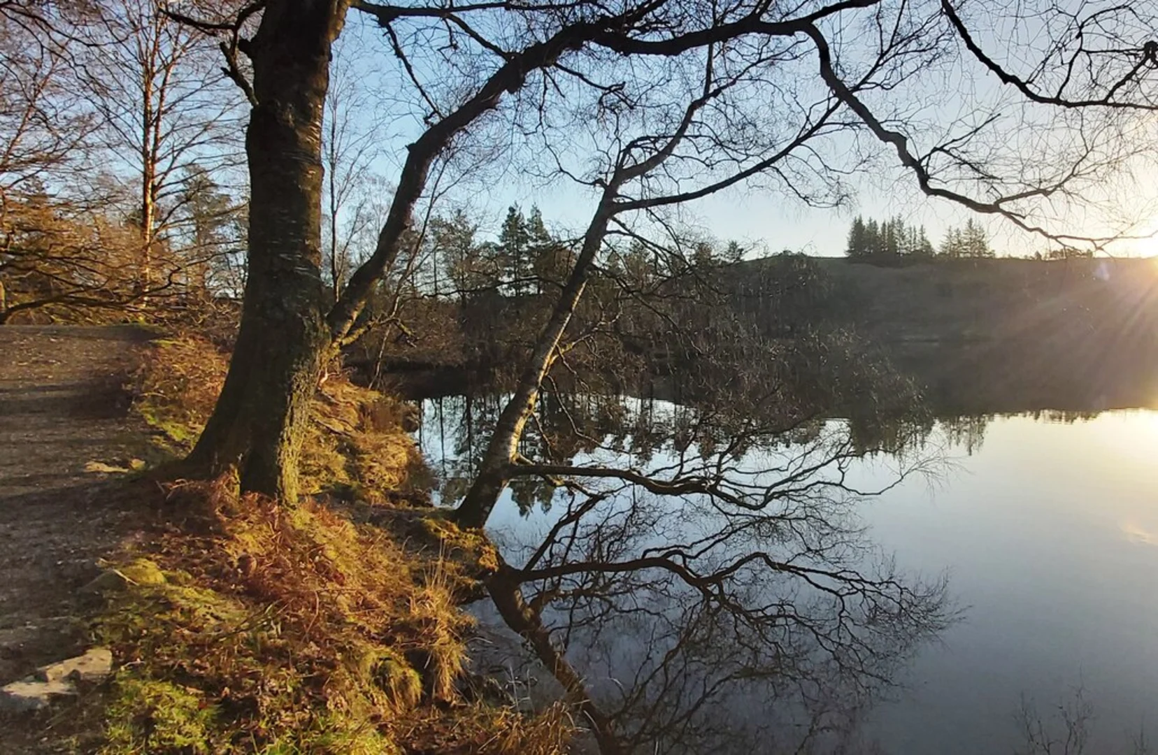 An image depicting the trail Tarn Hows, Hawgraves and Rose Castle Plantation Loop and its surrounding area.