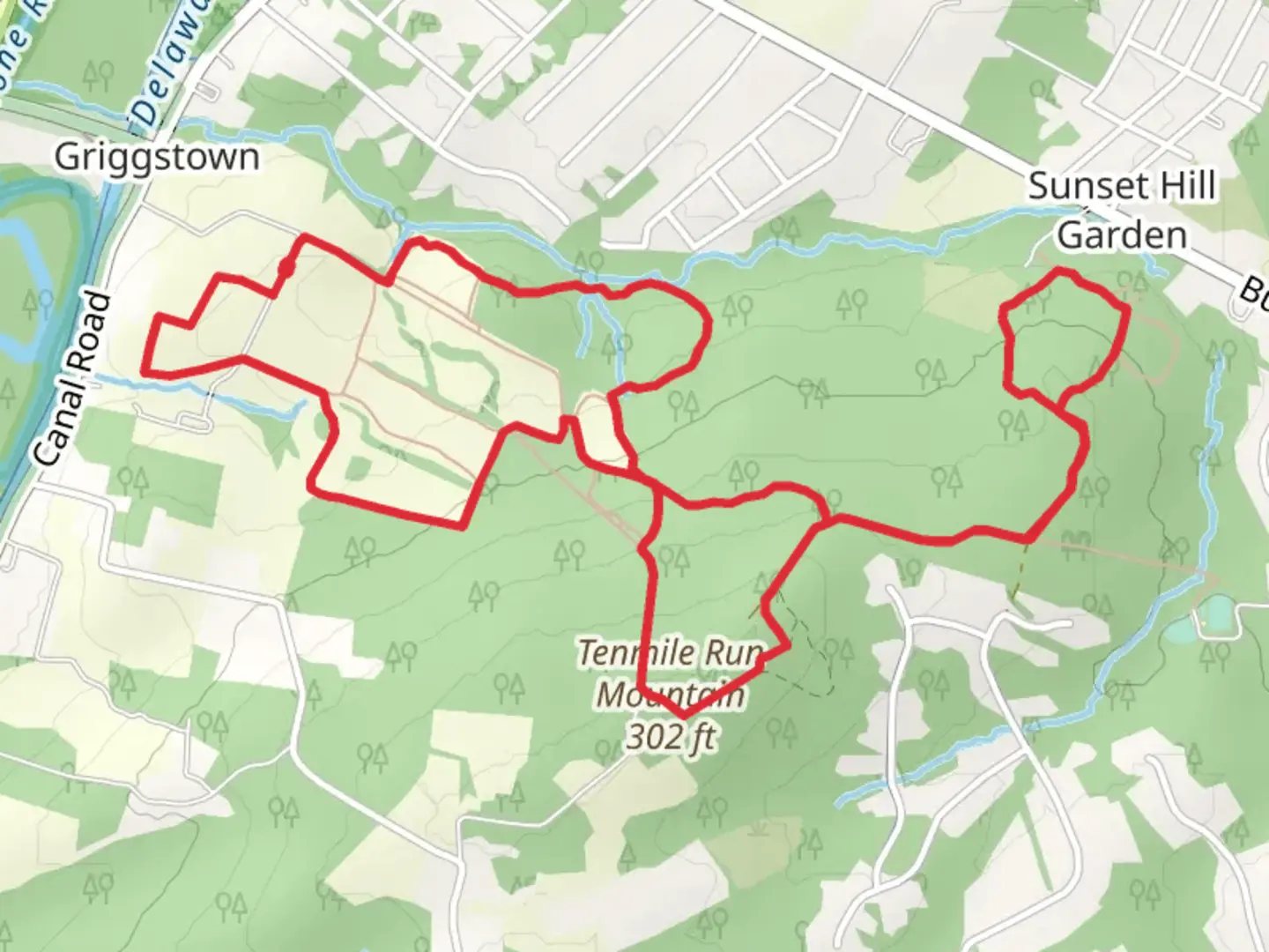 An image depicting the trail Red, Blue and Tenmile Run Mountain Loop Trail and its surrounding area.
