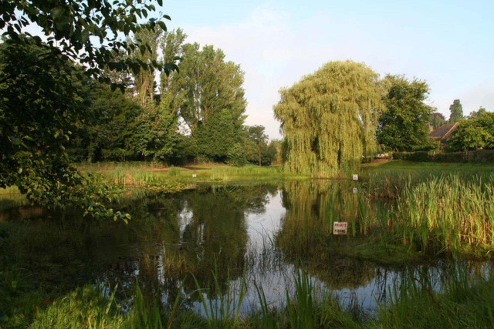 An image depicting the trail Great Limber and its surrounding area.