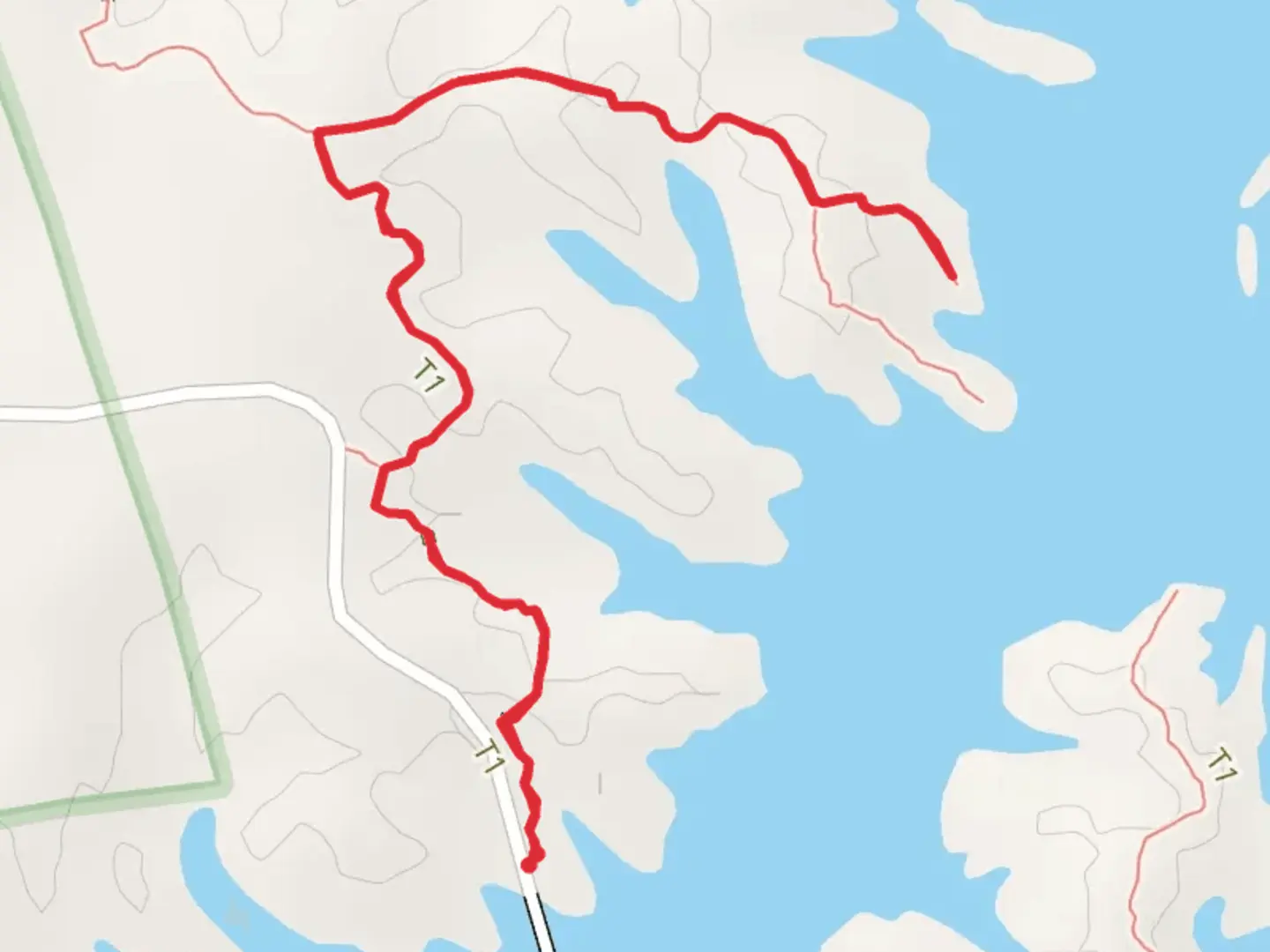 An image depicting the trail Campsite 4 and Lake Chicot and its surrounding area.