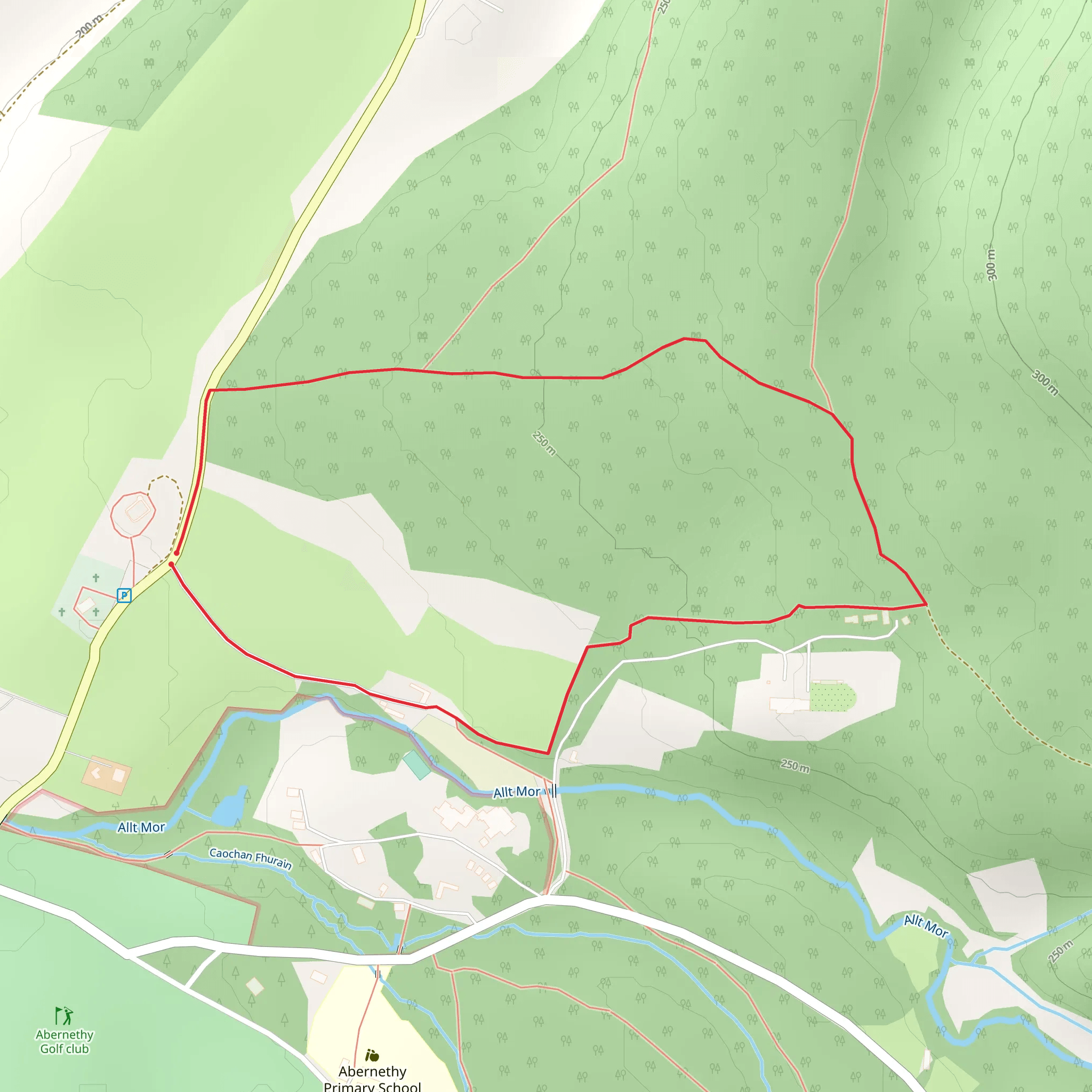 Nethy Bridge Path - Castle Roy Loop mobile static map
