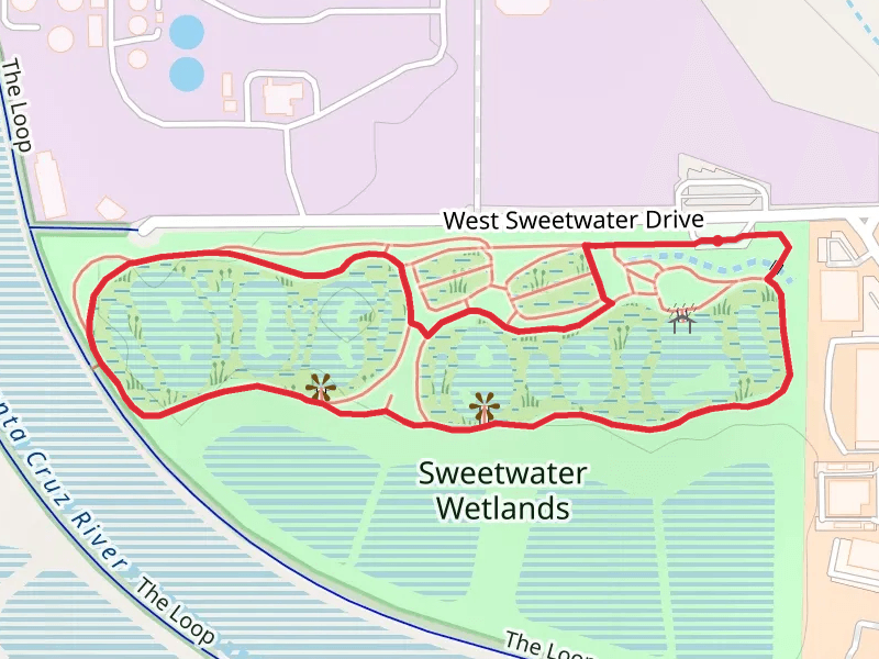 Sweetwater Wetlands Loop