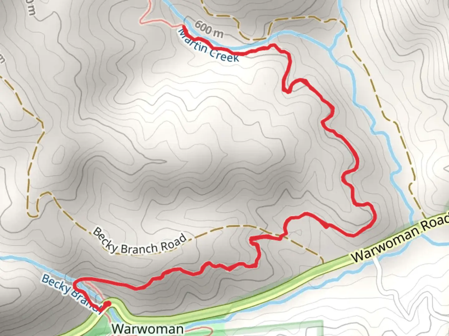 An image depicting the trail Martin Creek via Bartram Trail and its surrounding area.