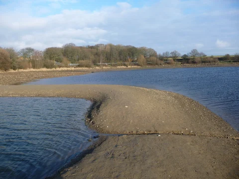 Ardsley Reservoir Loop