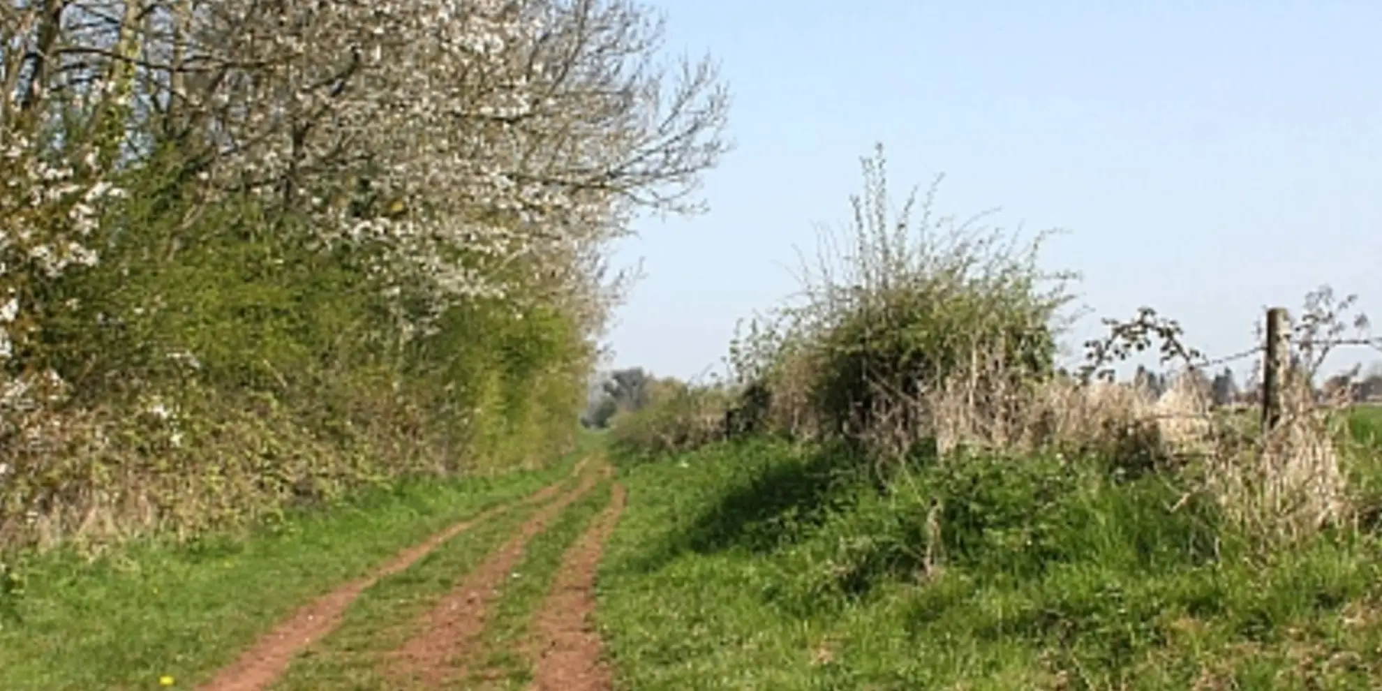 An image depicting the trail Redmarley D'Abitot and the Leadon Valley and its surrounding area.