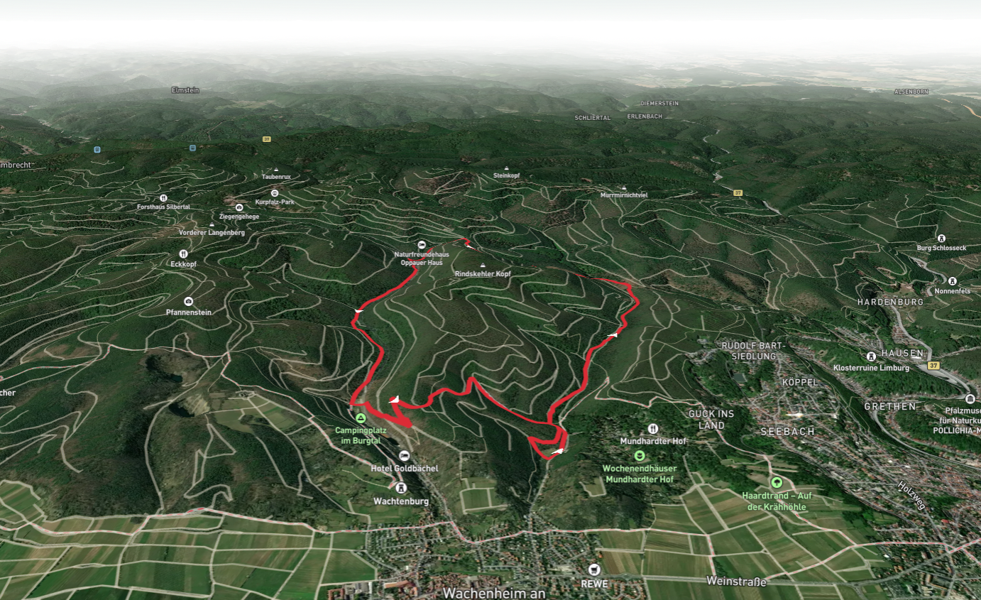 Barfusspfad Loop viaPfaelzerwald Gelber Balken