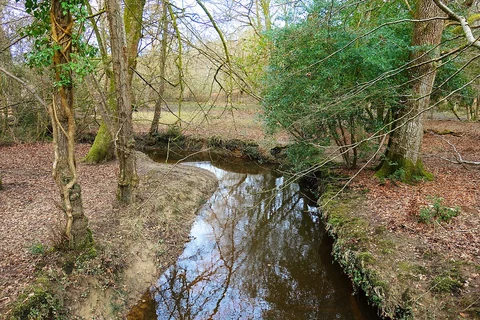 An image depicting the trail Acres Down South Loop - Emery Down and its surrounding area.