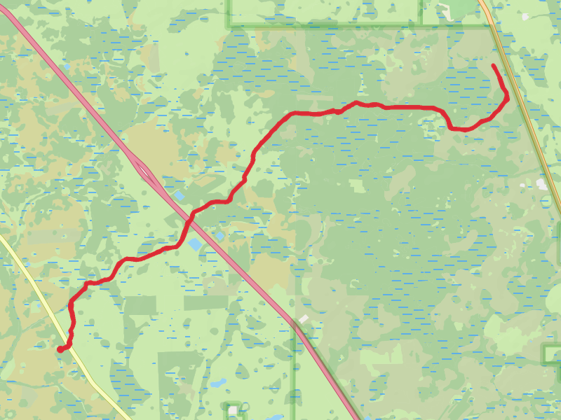Florida Trail - Prairie Lakes Road