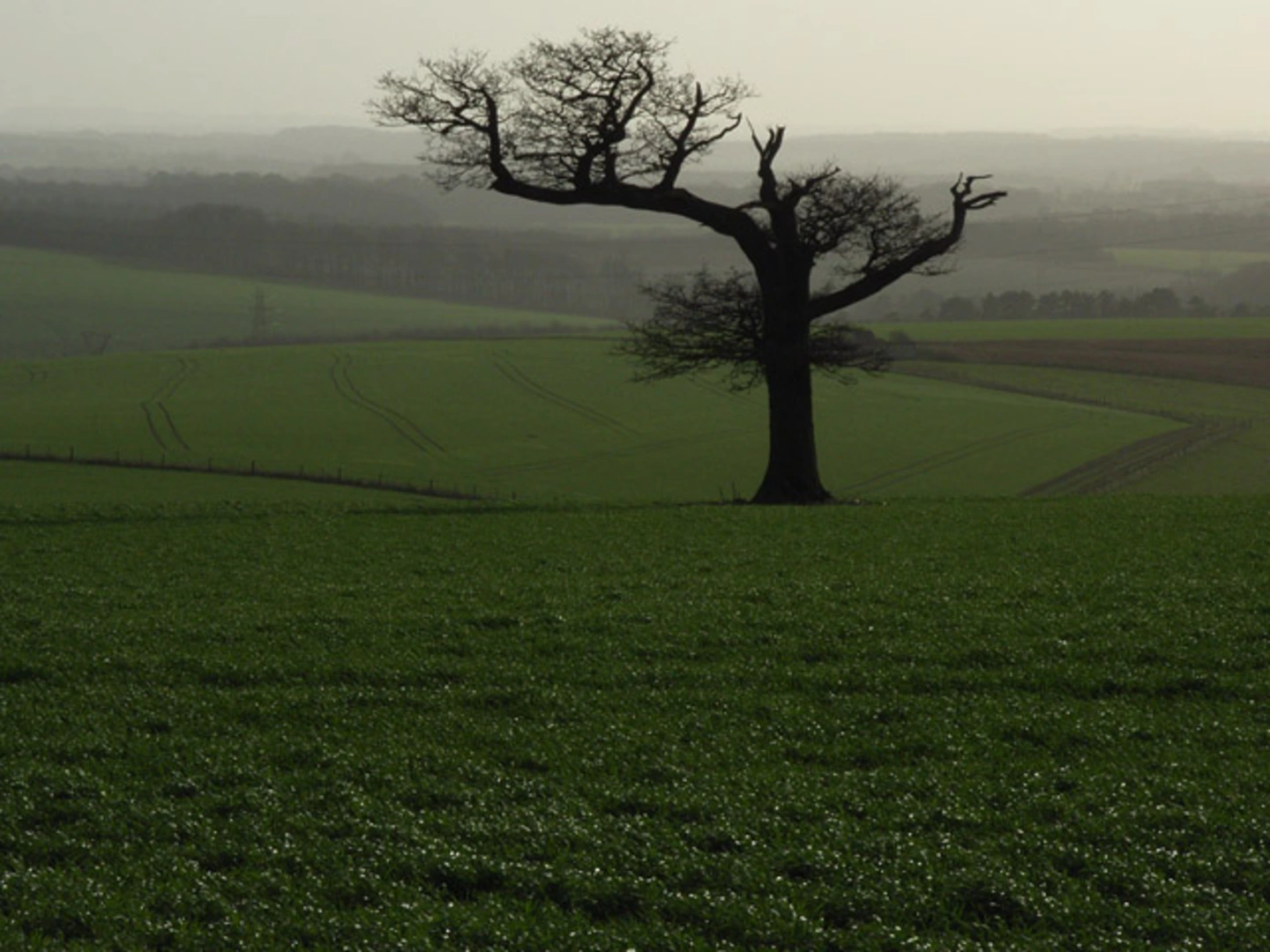 An image depicting the trail Ladle Hill and Barton Copse Loop and its surrounding area.